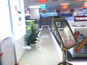 cho-thue-cay-canh-hai-phong