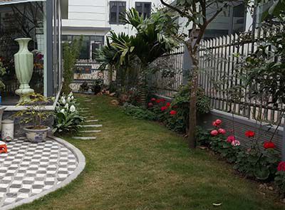Thi công tiểu cảnh đẹp Thi công tiểu cảnh đẹp