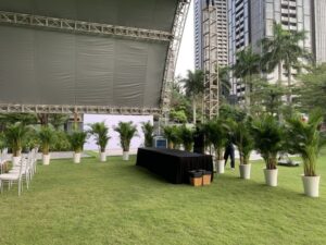 cho thuê cây cảnh