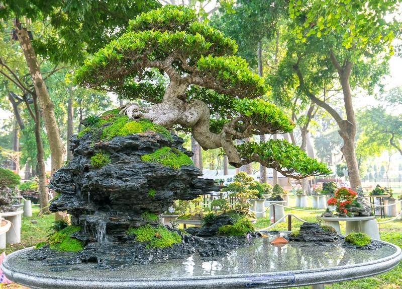hòn non bộ mini