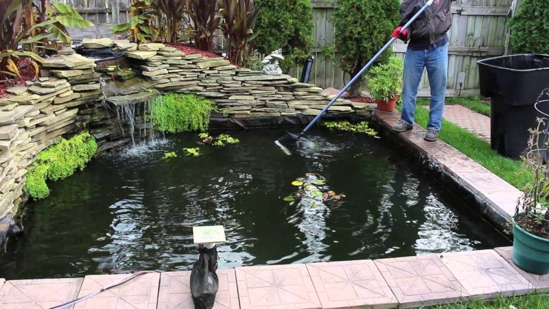 thiết kế hồ cá koi​