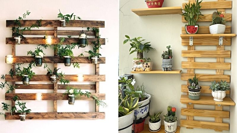 7 ý tưởng sáng tạo cho cây cảnh treo tường