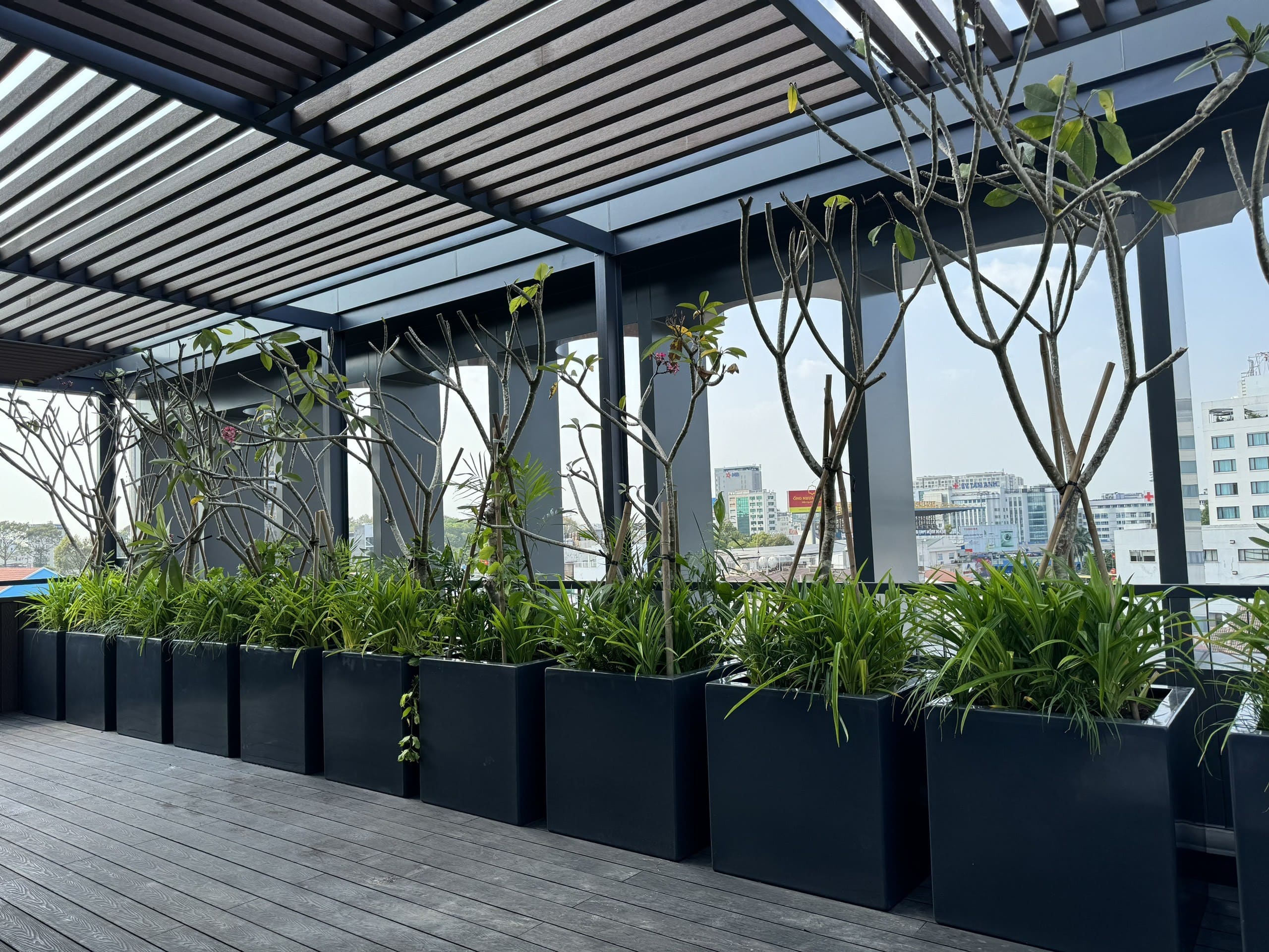 Chậu Composite Trồng Cây