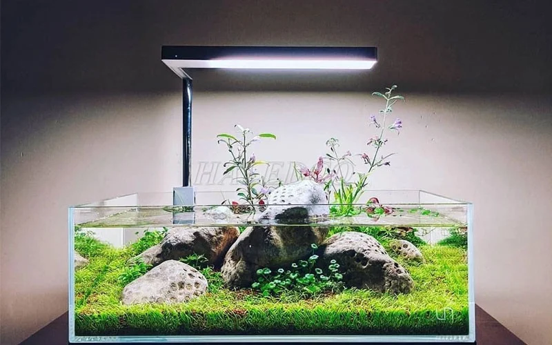 27+ mẫu đèn thủy sinh ấn tượng nhất 2025